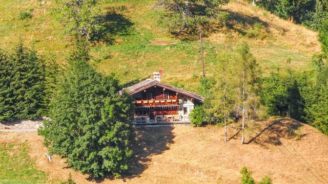 Chalet d'Heïdi vue depuis l'autre versant de la montagne